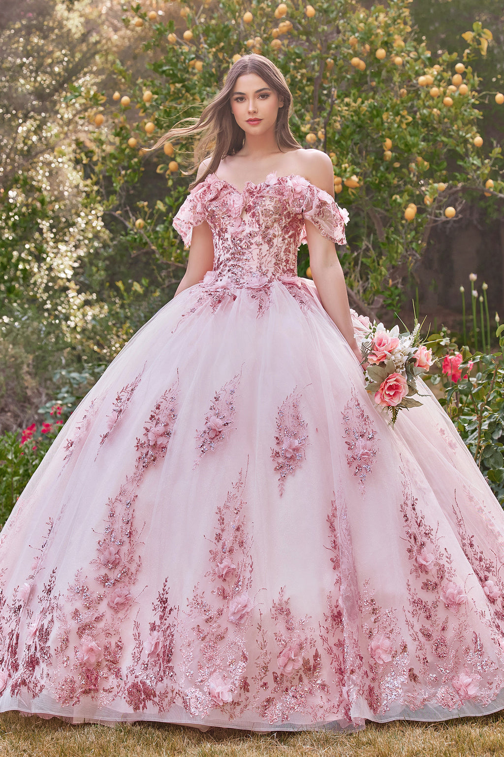 Women's Lace Quinceanera Dresses Ball Gown Sweetheart Quince Dresses with  Sleeves Sweet 15 Dresses