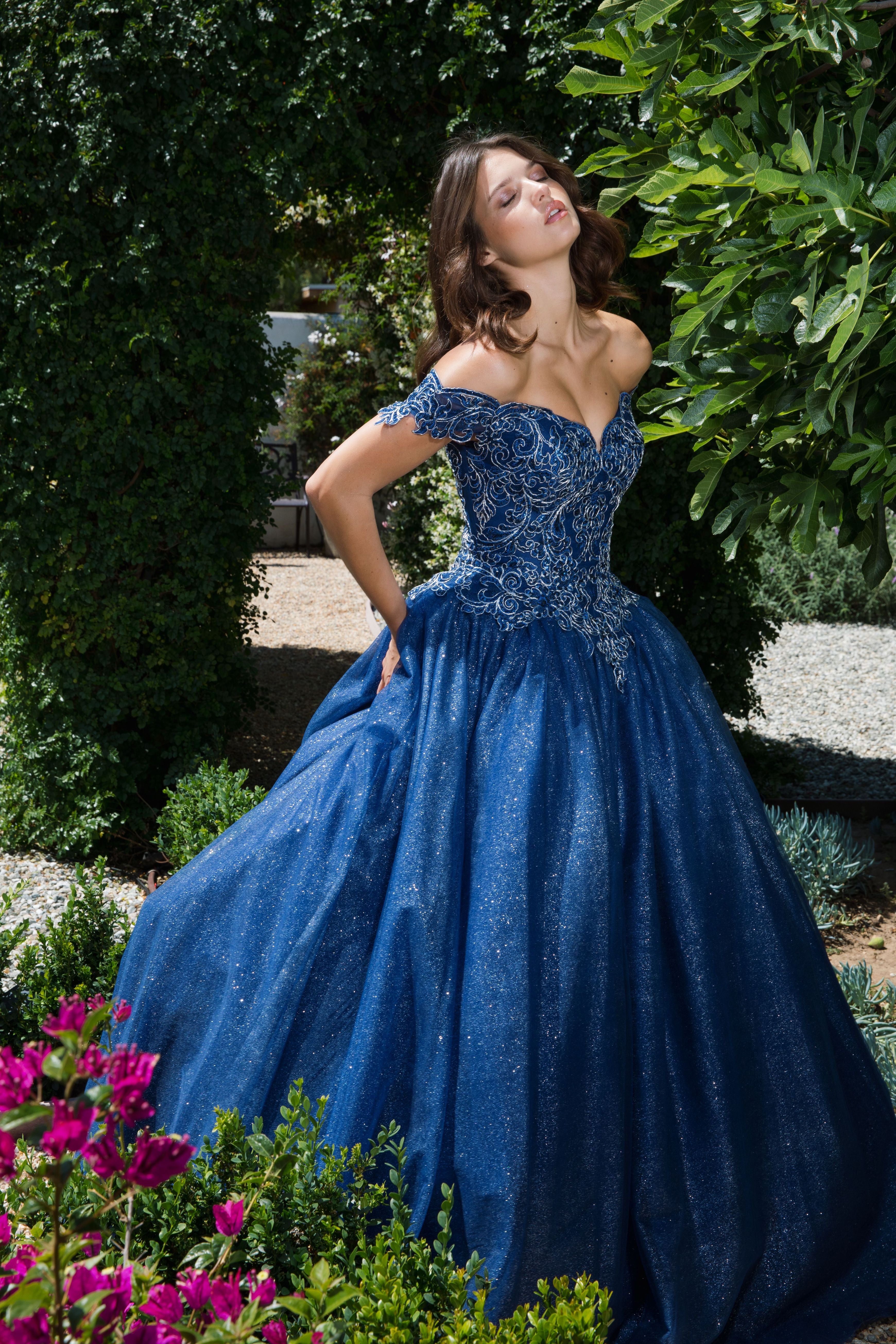 Quinceanera navy blue store dresses