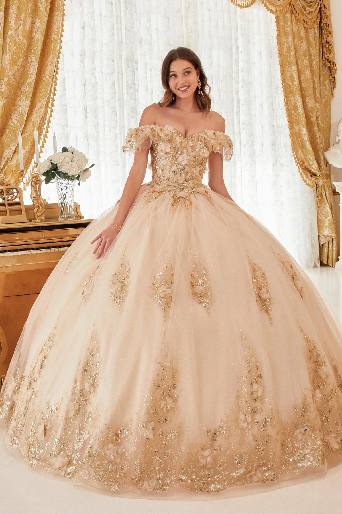 Cinderella Divine 15701 Ladivine Ball Gown Quinceanera Dress - NORMA REED