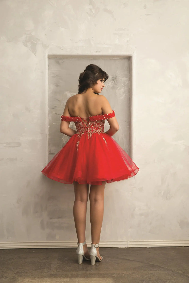 Grade 8 Graduation Dresses - NORMA REED Grade 8 Graduation Dresses - NORMA REED