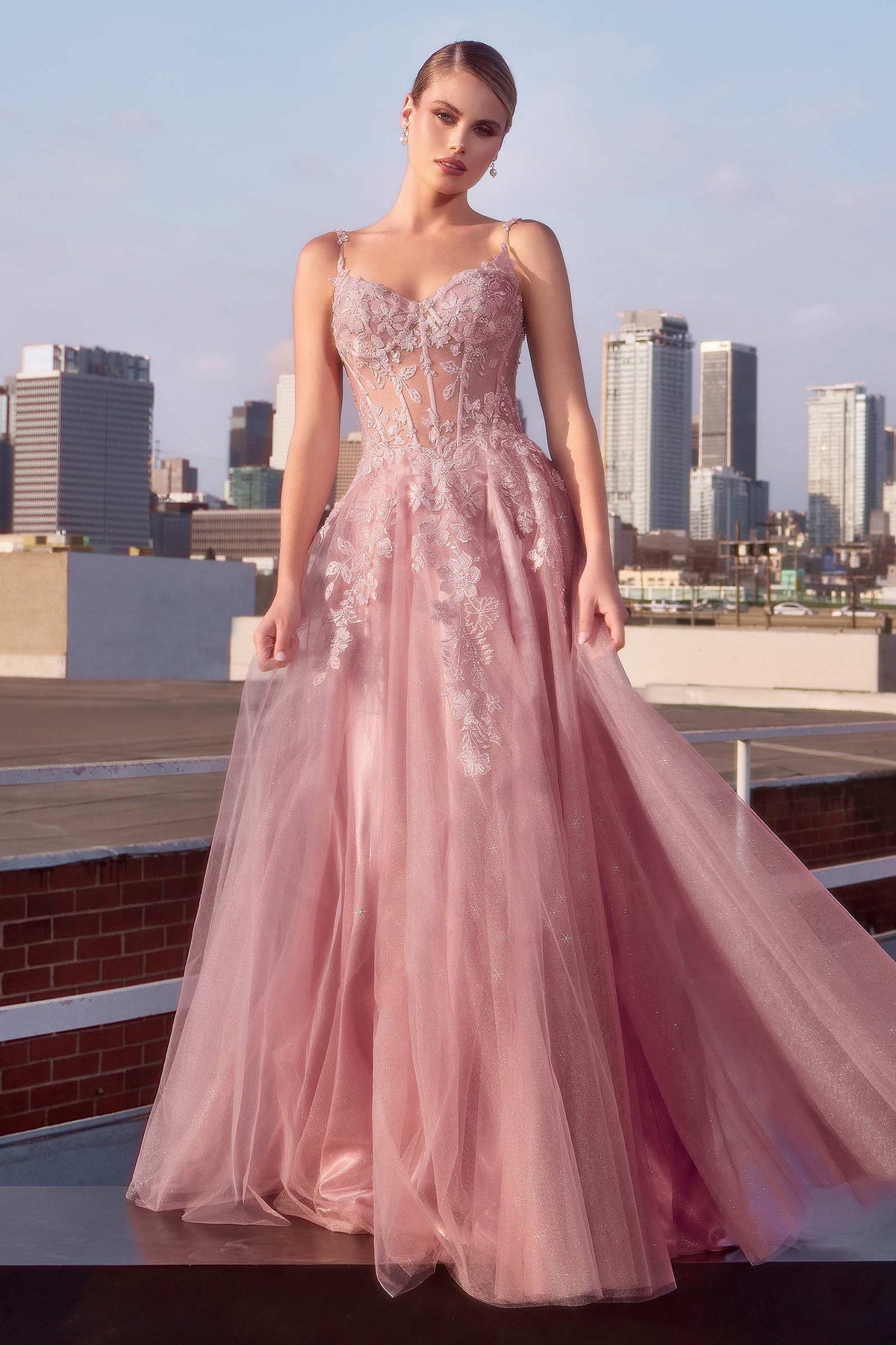 Ladivine CDS533 Mauve A Line Layered Tulle Gown