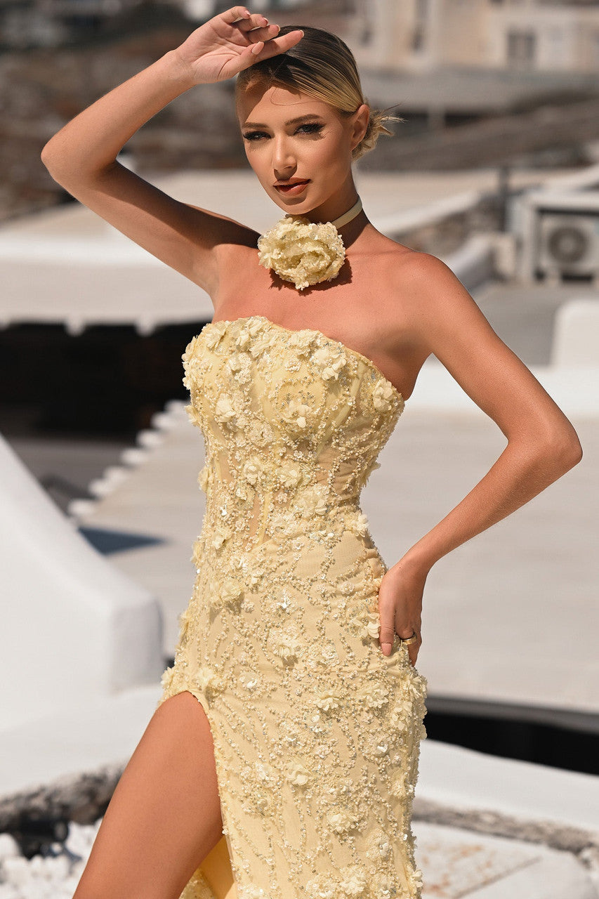 PORTIA and SCARLETT PS26011