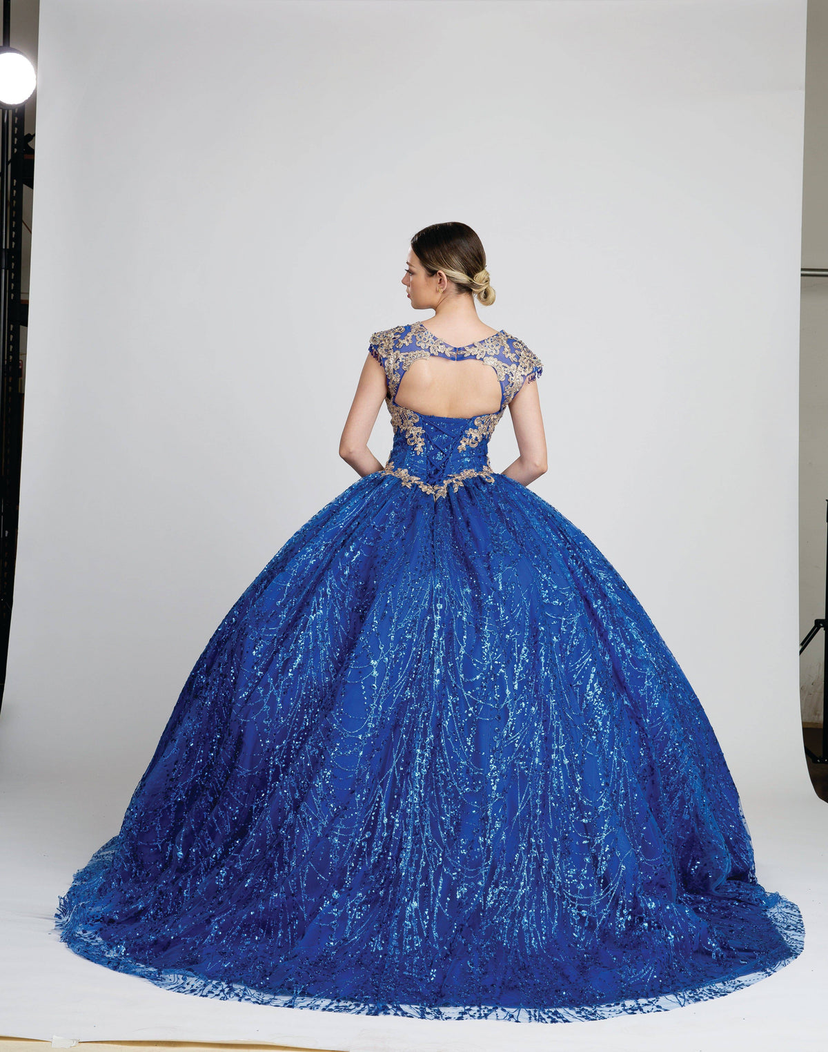 Fiesta 10262 Sequin & Floral Lace Embroidered Ball Gown - NORMA REED