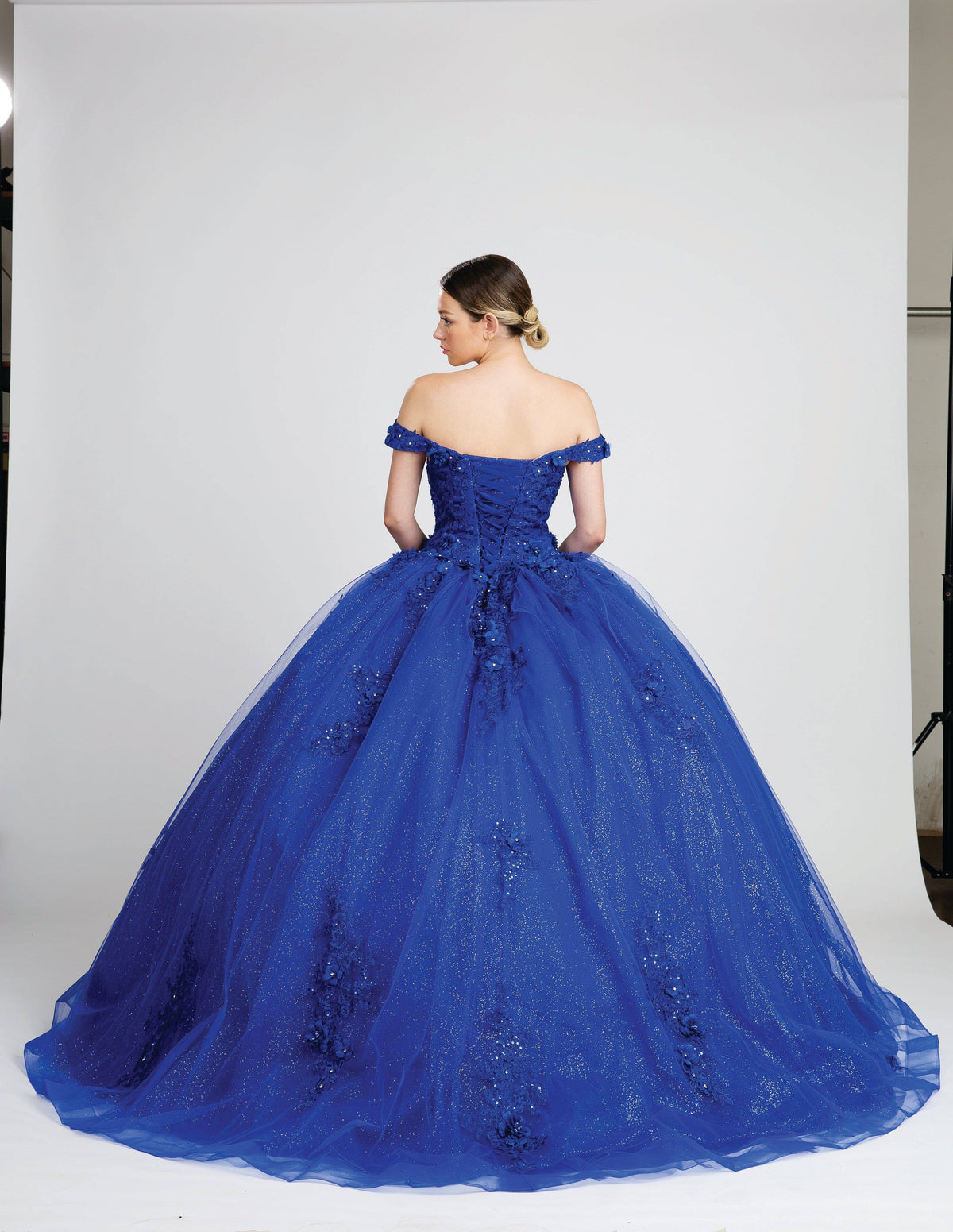Fiesta 10280 Shimmering Quinceanera Ball Gown - NORMA REED