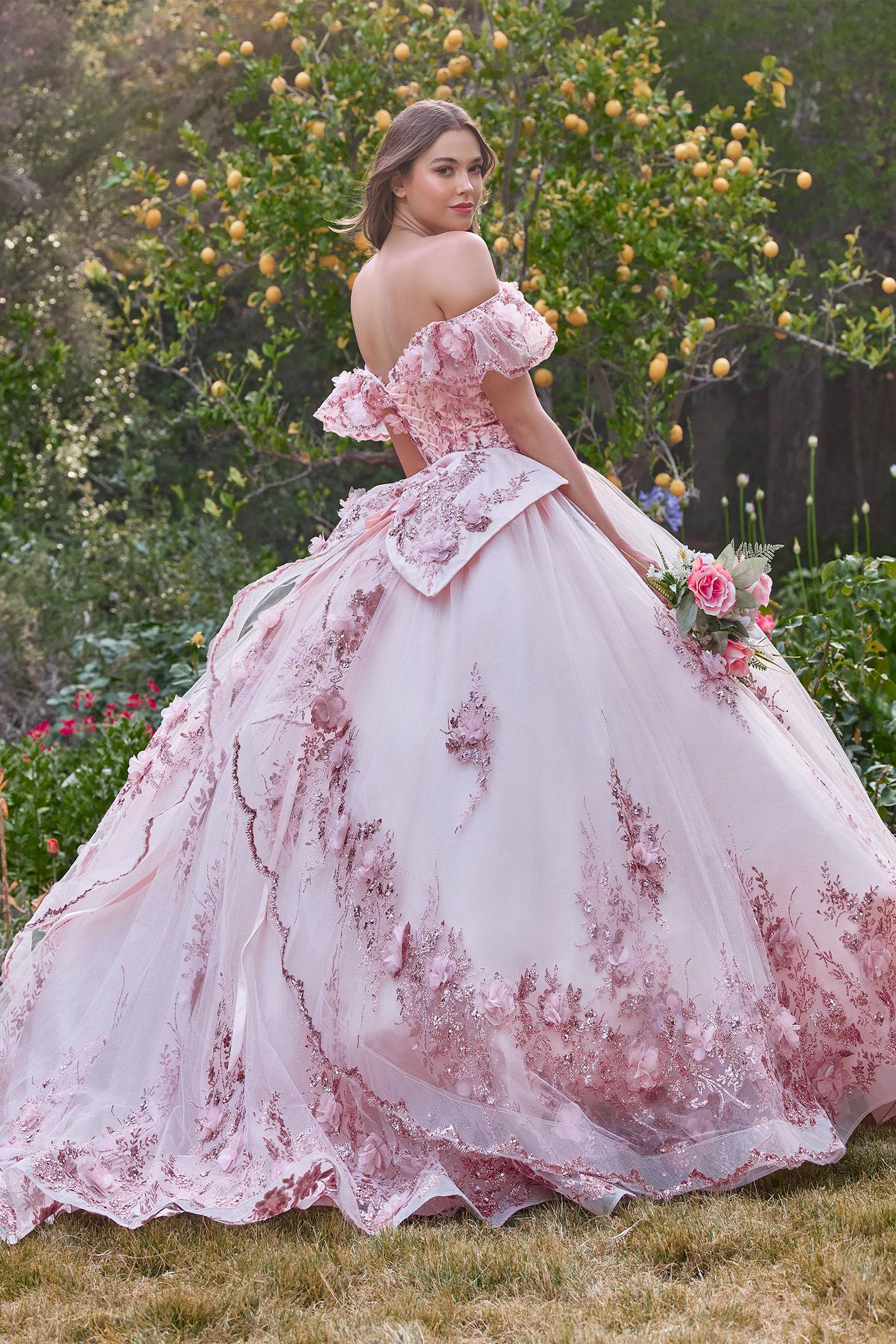 Cinderella gown outlet images