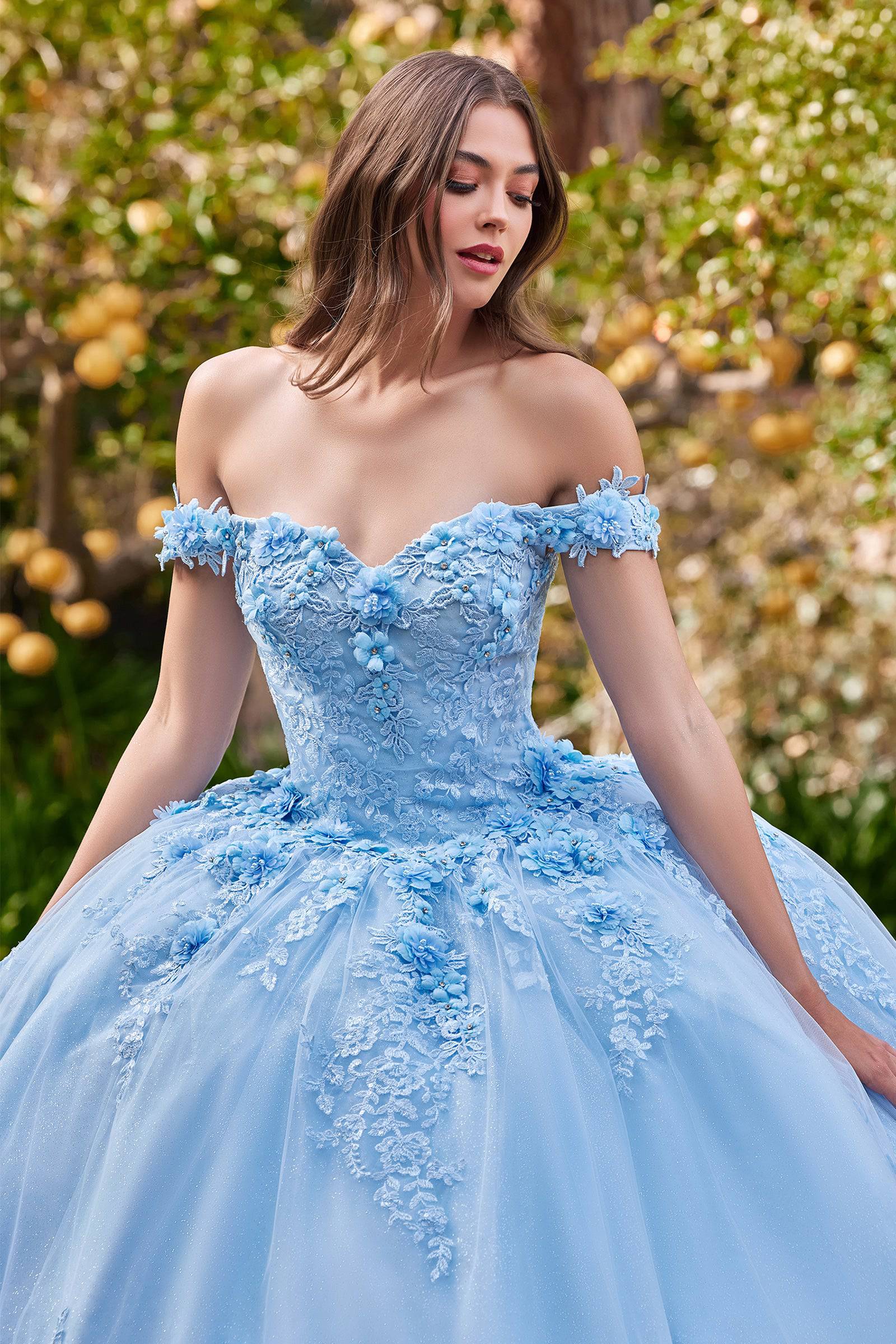 Fiesta Quinceanera 56445 VIP Fashion Prom & Quince Dress Superstore
