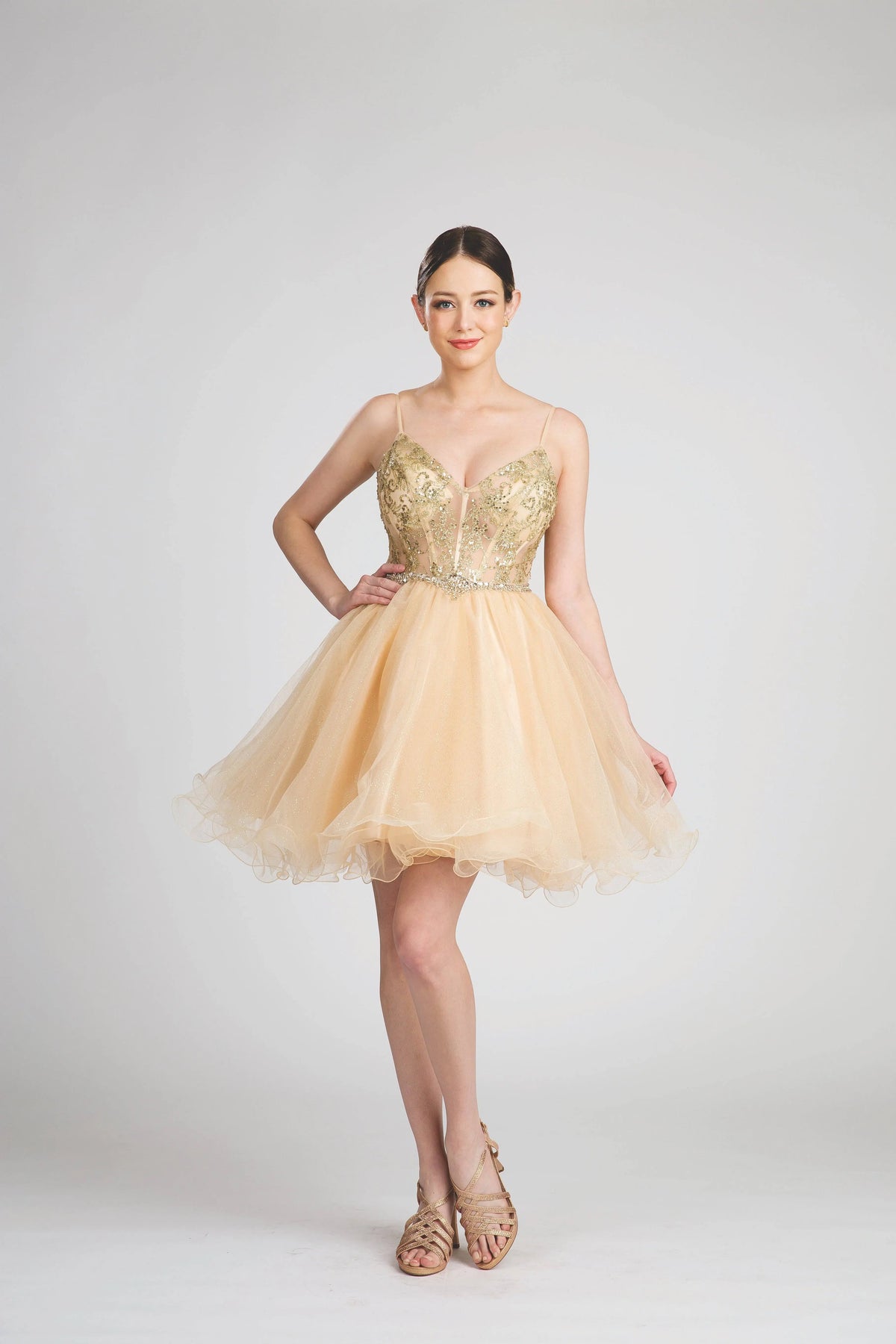 Fiesta 53156 Sparkling Sequin & Stone Corset Damas Dress | Dama Quince Fiesta 53156 Sparkling Sequin & Stone Corset Damas Dress | Dama Quince