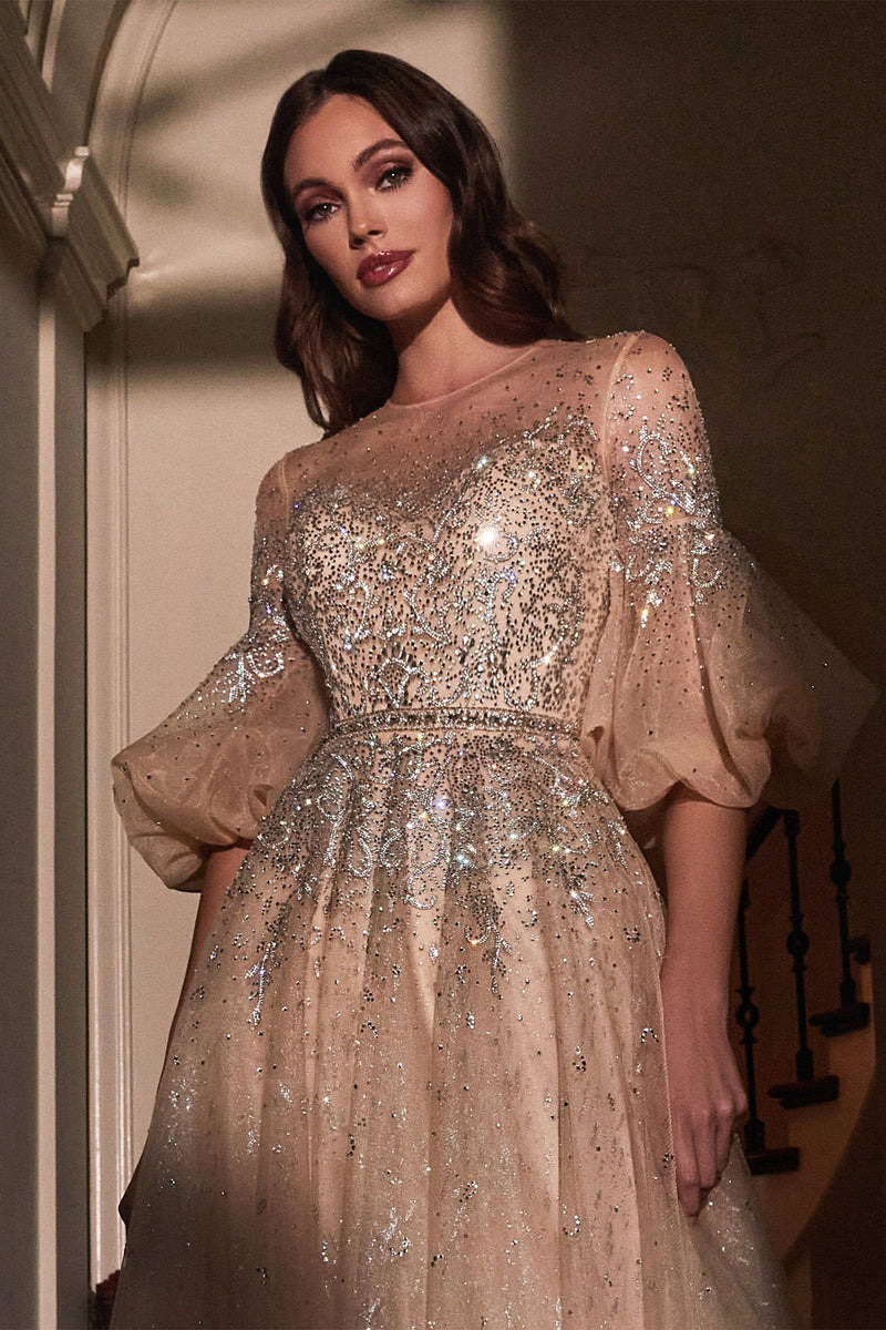 Sparkly Sheer Gown with Long Sleeves and Ombre Glitter Waistline #CDB703 - NORMA REED