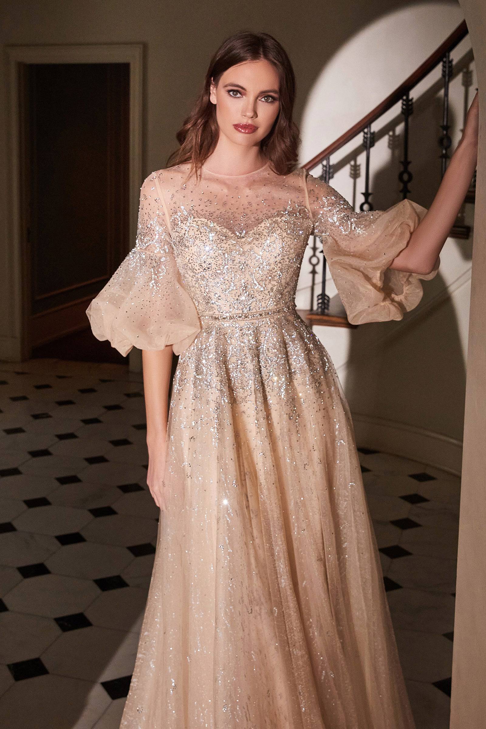 Sparkly Sheer Gown with Long Sleeves and Ombre Glitter Waistline