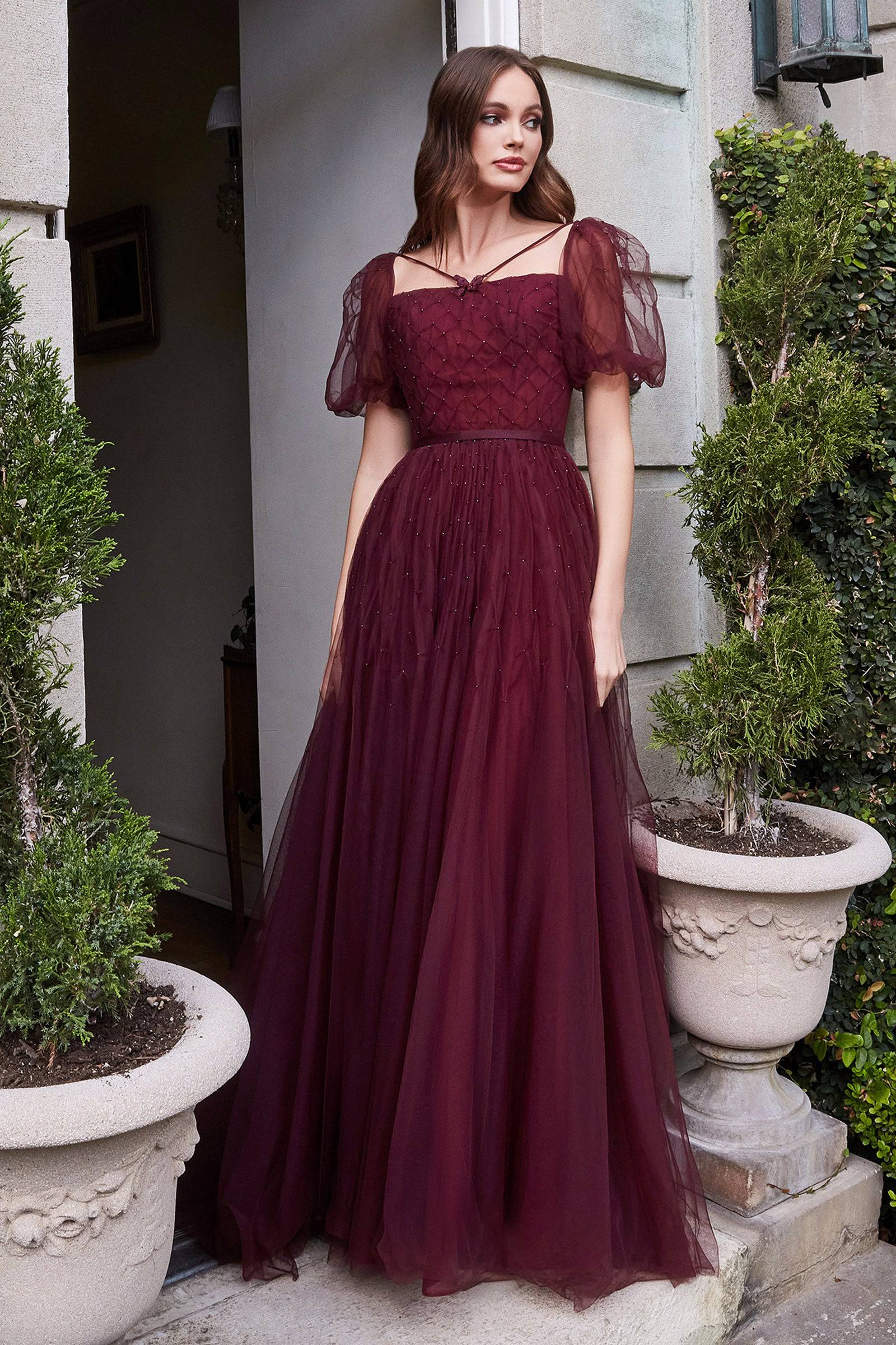 Sheer sleeve clearance evening gown