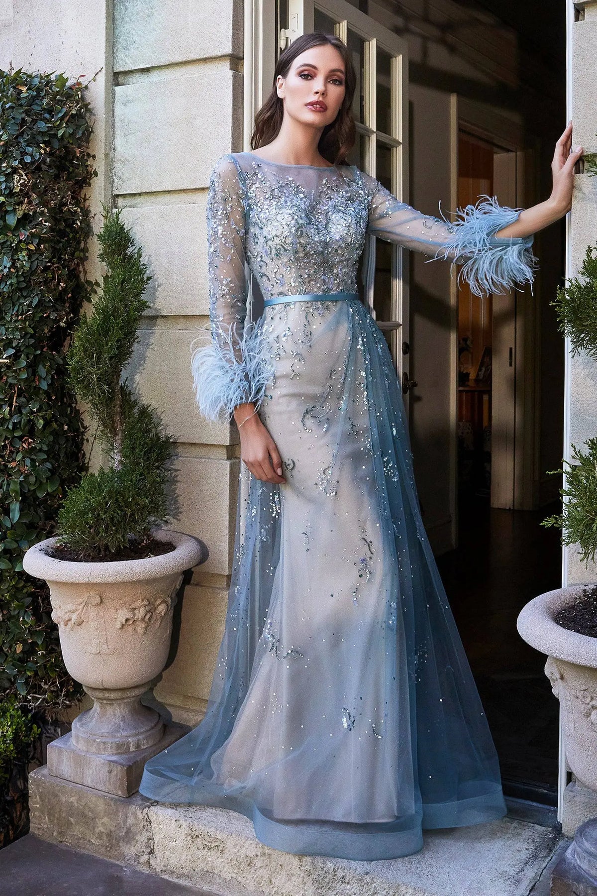 Pretty Long Dress With Sheer Overlay and Feather Accents on Sleeves Pretty Long Dress With Sheer Overlay and Feather Accents on Sleeves