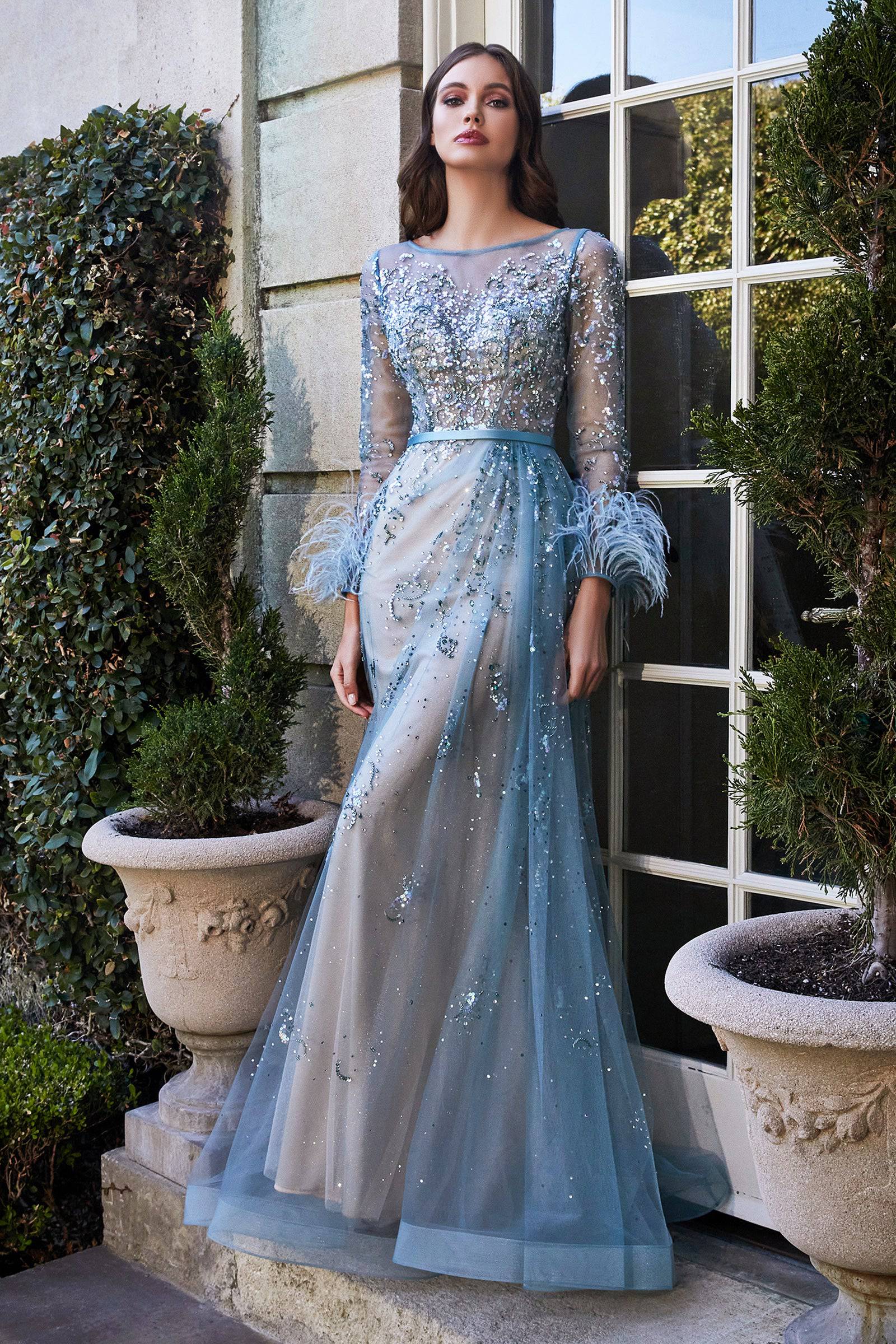 Pretty Long Dress With Sheer Overlay and Feather Accents on Sleeves CDB716