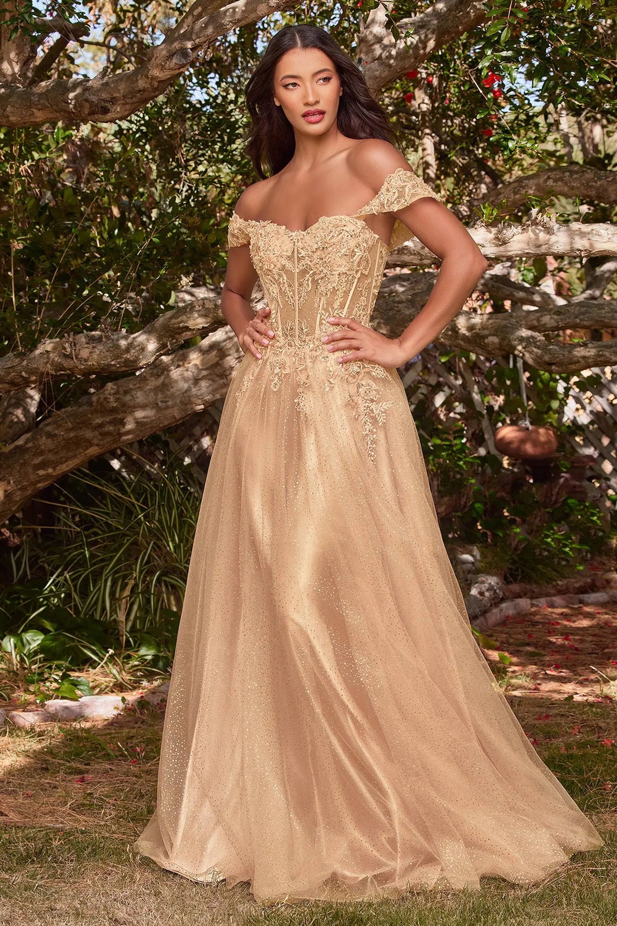 corset dress canada Cinderella Divine CD0198 Off Shoulder Lace Corset Dress