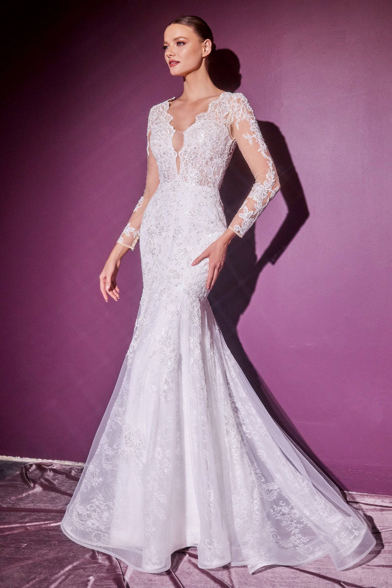 Fall Wedding Dresses 2024 Collection NORMA REED