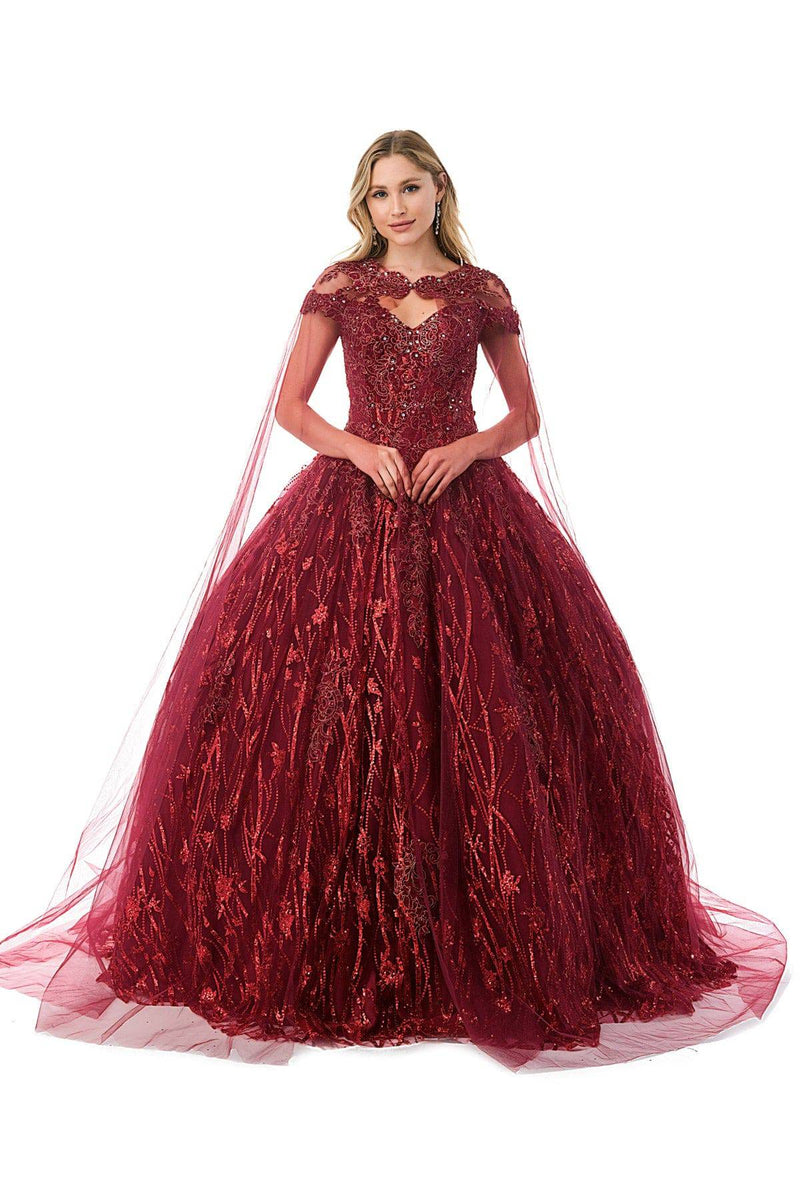 Aspeed L2804C  Floral & Sequin Burgundy Quinceanera Dress | 3 Colors - NORMA REED